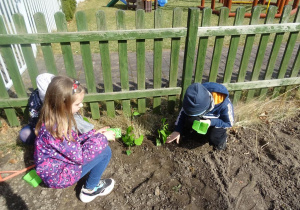 Dzieci sadzą rośliny.